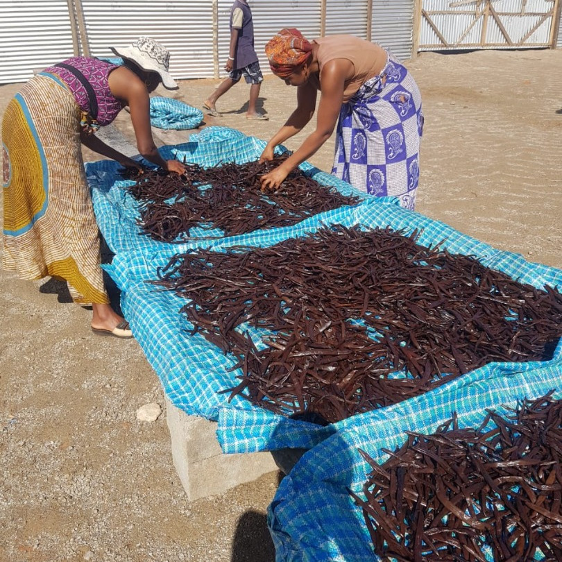 Femmes malgaches faisant sécher des gousses de vanille au soleil de manière traditionnelle, illustrant le savoir-faire artisanal de LA SAVEUR VANILLE.