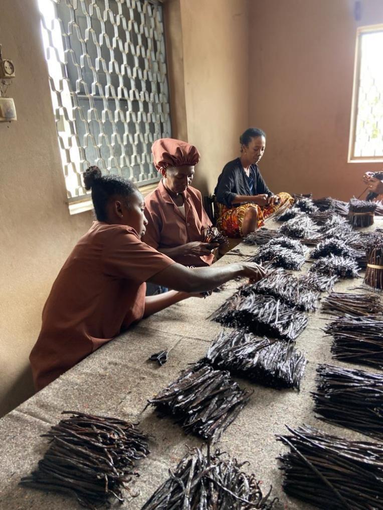 Femmes malgaches triant et classant les gousses de vanille à la main, illustrant l'attention et le soin apportés à chaque étape du processus de sélection chez LA SAVEUR VANILLE.