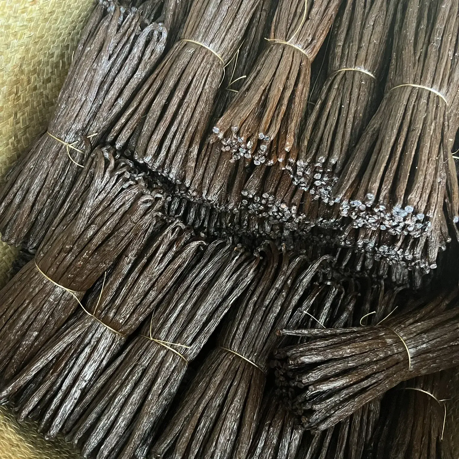 La gousse de vanille : origine, caractéristiques et conseils d'utilisation Gousse de vanille TK de Madagascar, plus sèche et idéale pour une conservation prolongée, offrant un arôme raffiné pour les professionnels.