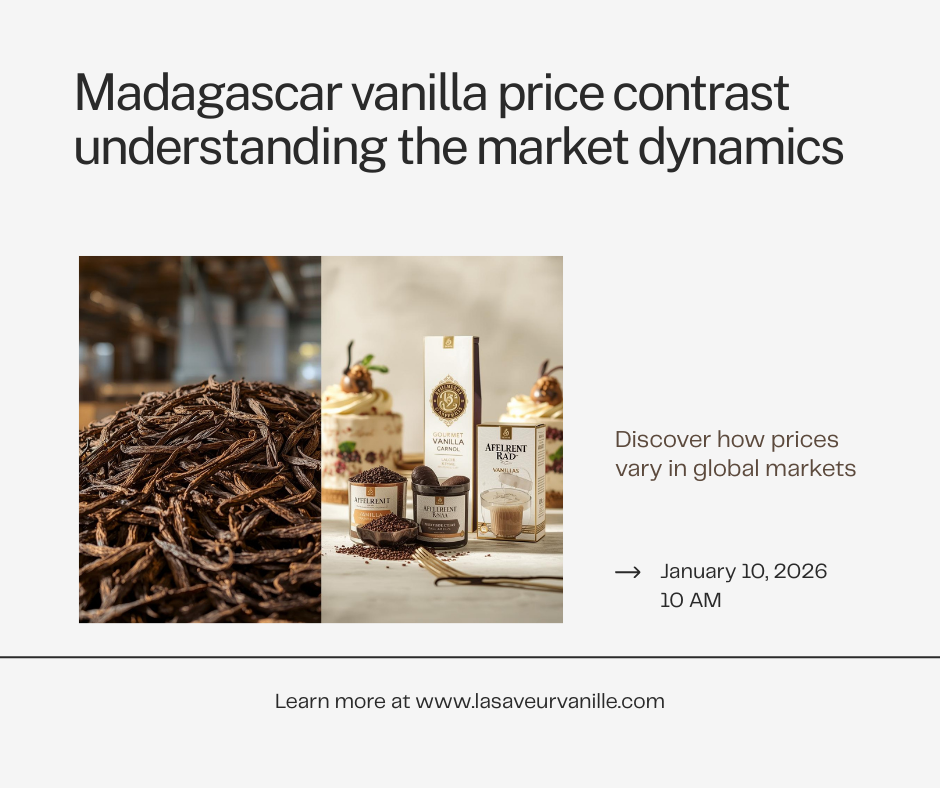 Prix de la vanille de Madagascar à l'export : pourquoi est-il différent des prix du marché ? 60$ à l’export vs 2 000€ sur le marché vanilla price contrast